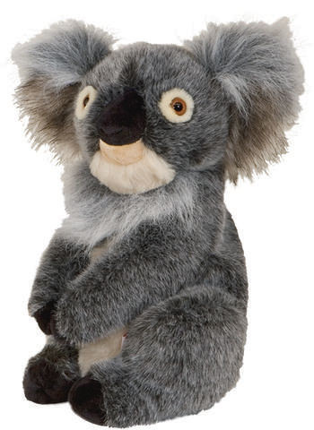 KOALA Schlägerhaube
